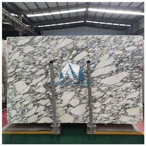 Arabescato Corchia Marble Slabs