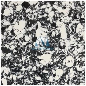 Sea Flower Granite Looks Quartz