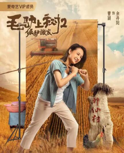 在线免费观看福利