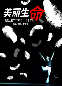 欧美中文字幕视频